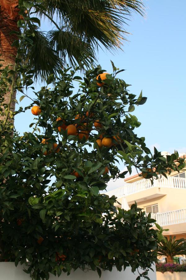 Nissi Villa Ayia Napa Exteriér fotografie